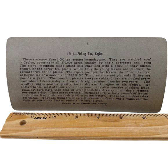 Antique 1901 Stereoview Photo Card Tea Gatherers Galle Ceylon Hill Country - Picture 7 of 9